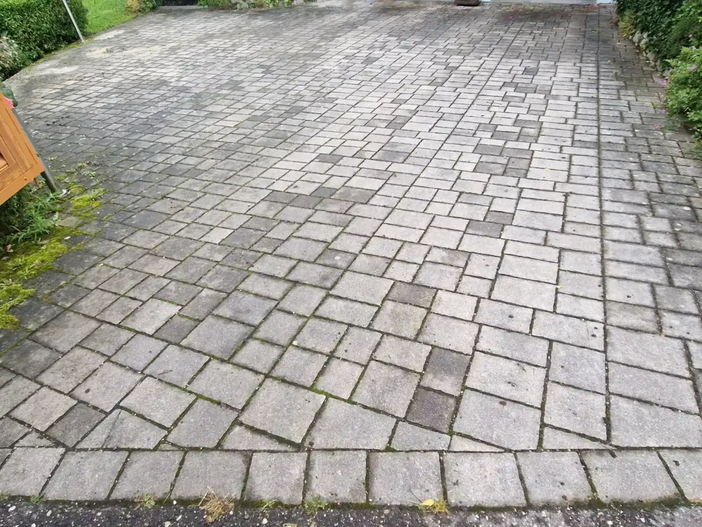 Tiefenreinigung Betonstein vorher